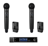2-CHANNEL HANDHELD SYSTEM